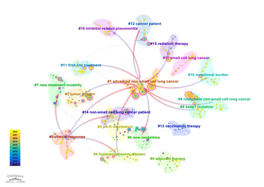文献共被引分析图D